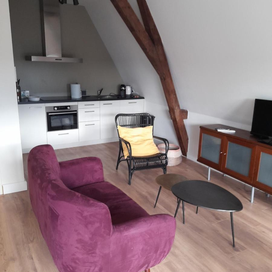 Historic Renovated Apartment With Balcony And Garden View Gouda Bagian luar foto